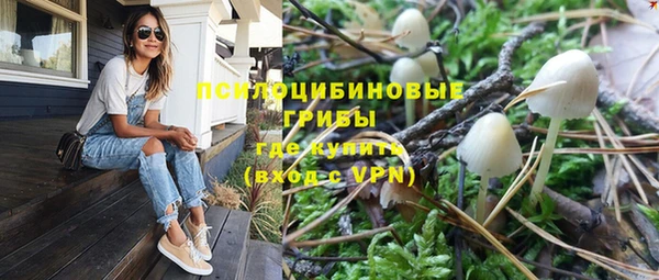 трава Абдулино